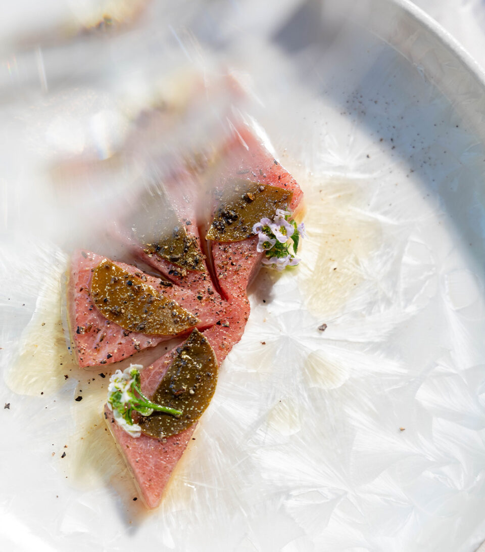 Thon rouge feuille de caprier