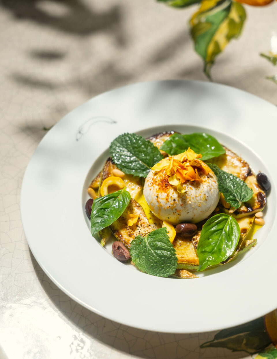 Burrata, courgettes, menthe_Le Jardin_©Bertille Chabrolle_01