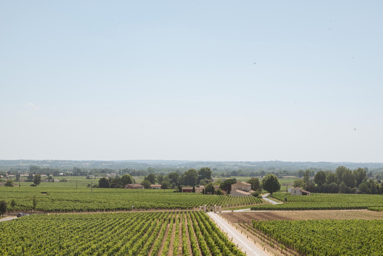 Domaine Angelus
