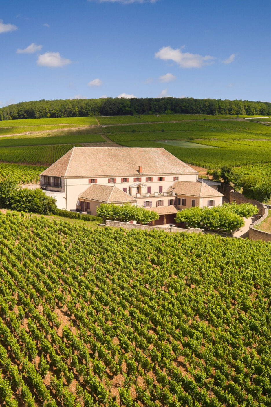 Maison Louis Latour